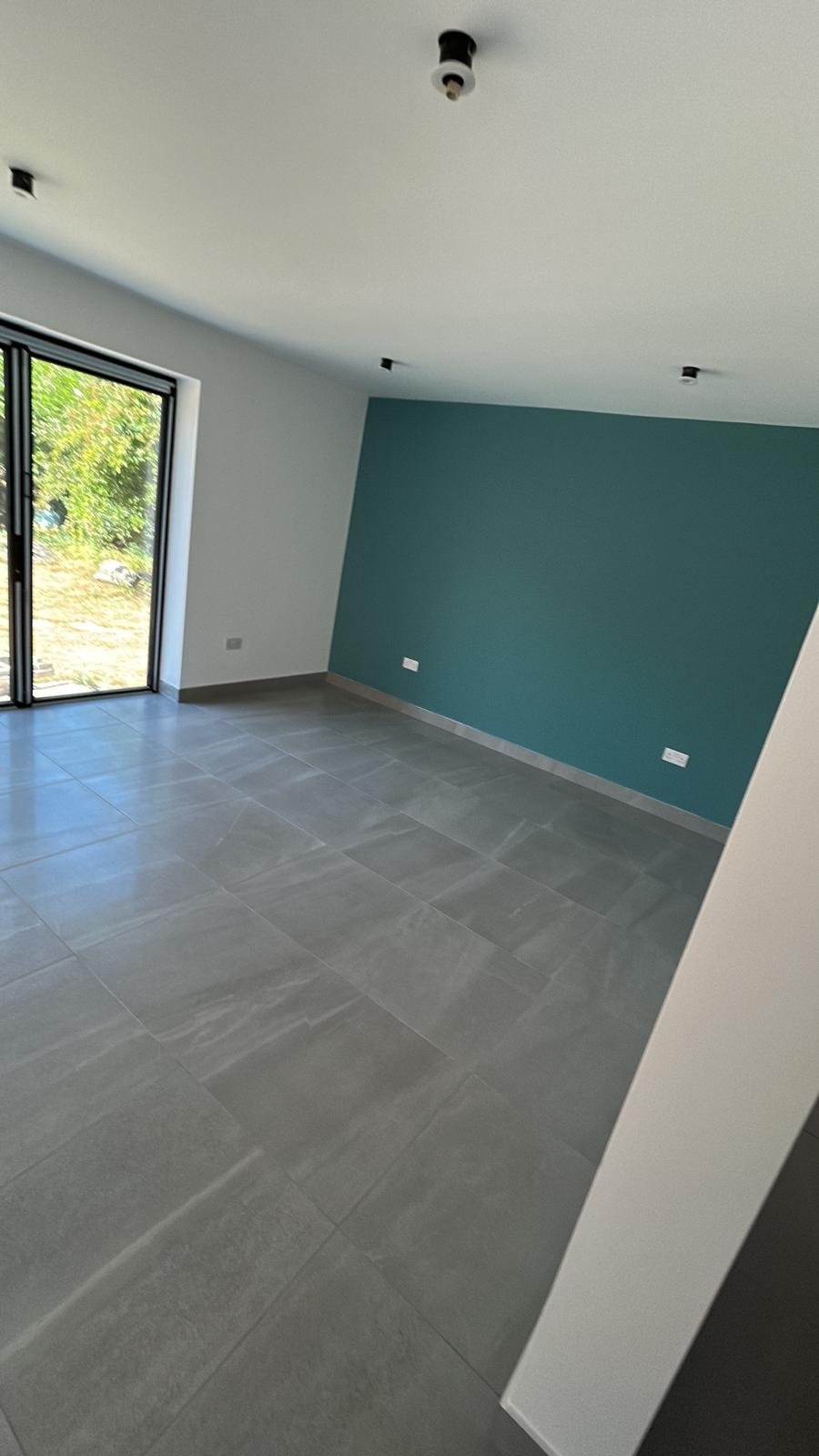 Interior painting project