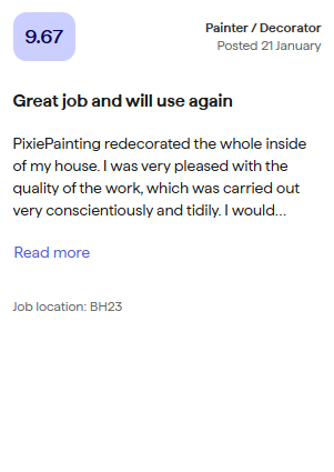 Customer review 6